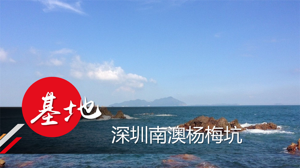 深圳南澳楊梅坑拓展訓(xùn)練基地 深圳南澳楊梅坑拓展訓(xùn)練基地