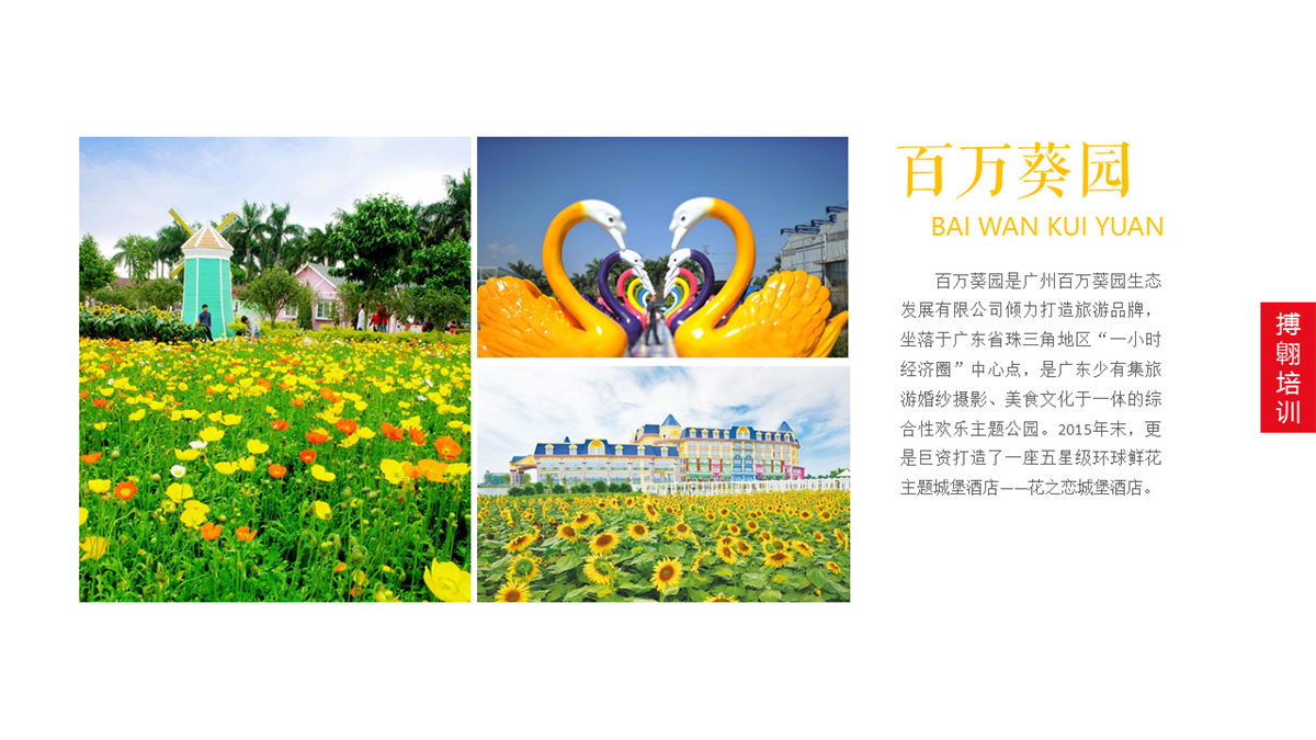 廣州南沙百萬葵園 廣州南沙百萬葵園