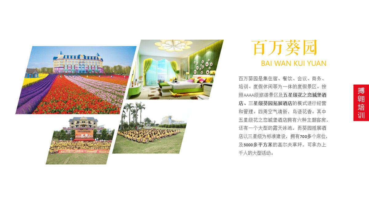 廣州南沙百萬葵園 廣州南沙百萬葵園