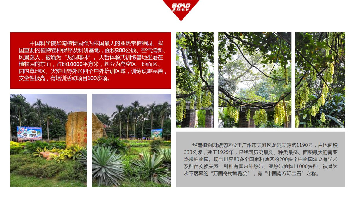 “中國南方綠寶石”——華南植物園-搏翱拓展 “中國南方綠寶石”——華南植物園-搏翱拓展