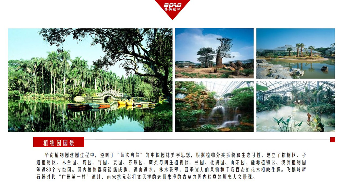 “中國南方綠寶石”——華南植物園-搏翱拓展 “中國南方綠寶石”——華南植物園-搏翱拓展