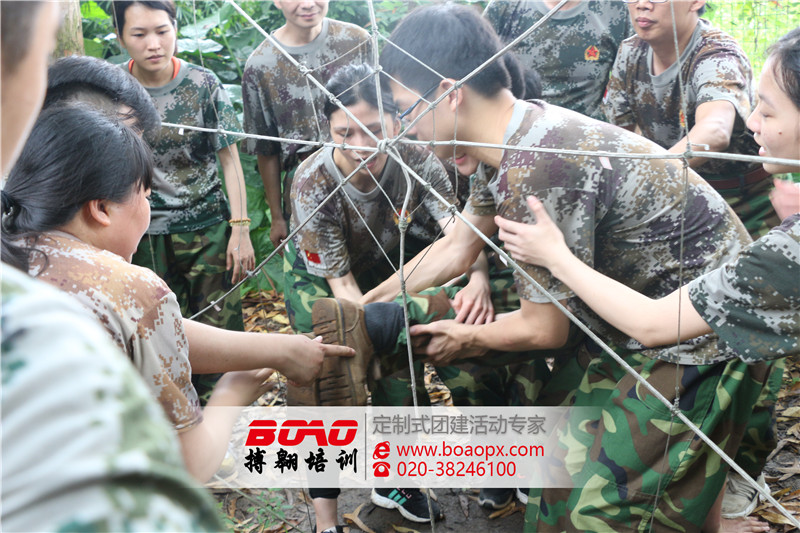 穿越電網(wǎng)拓展項(xiàng)目